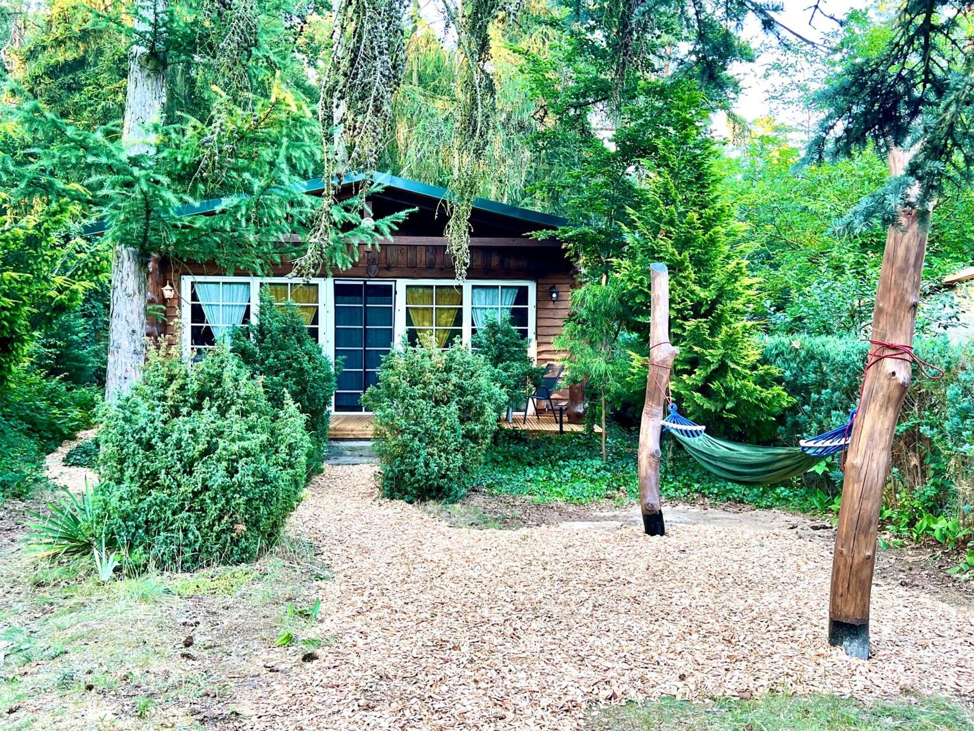 Ferienhaus Holzhaus Baerenhoehle Am Wald Und Neuruppin